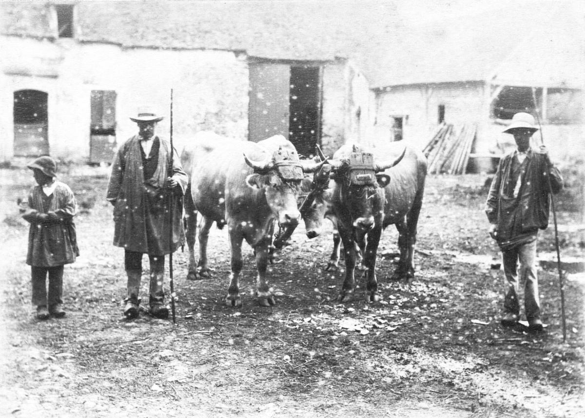 Peintres de l'école de Crozant De Tendu au Fay Le domaine du Fay, dépendances et environs custom text
